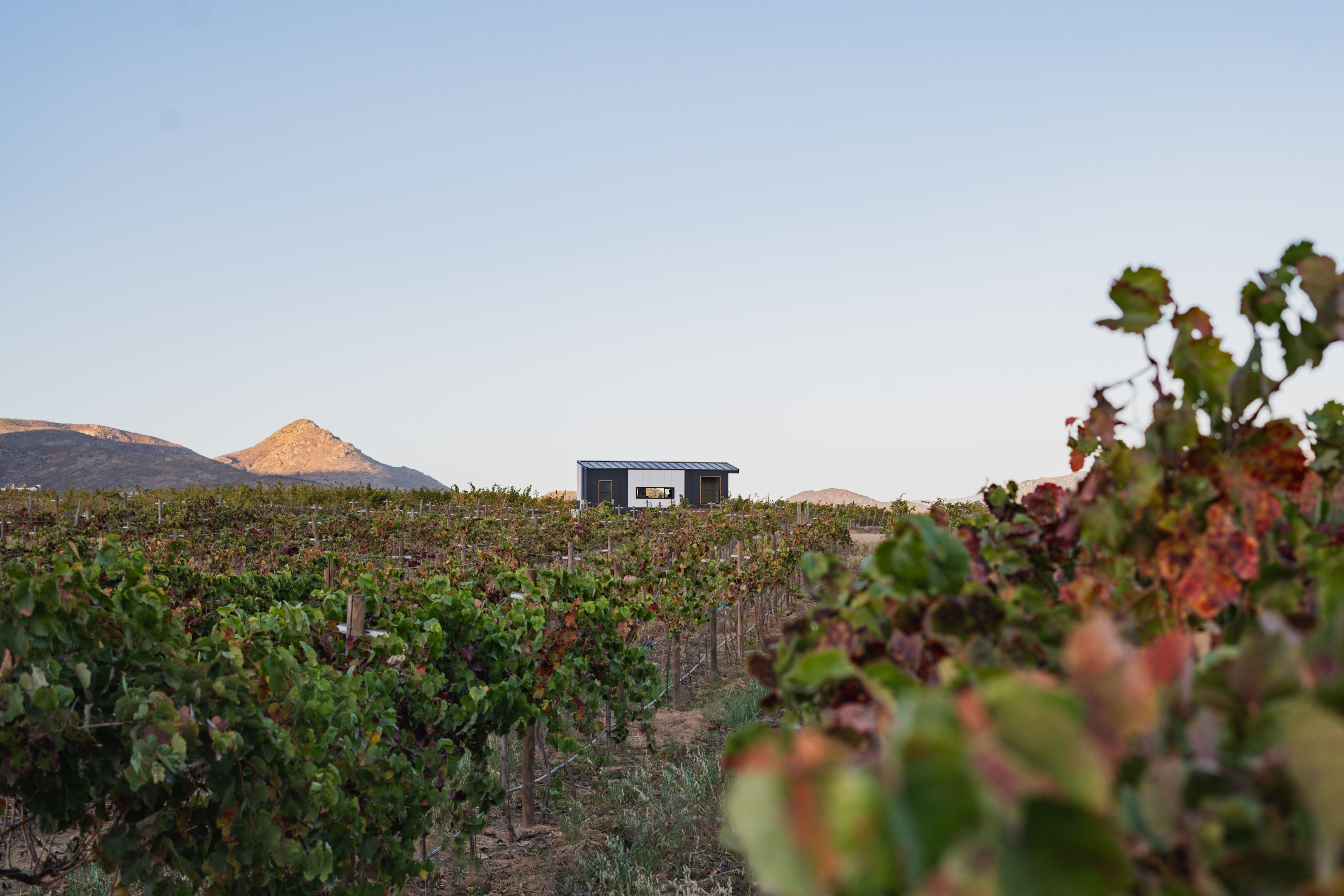 Picture of a modern tiny home against a scenic backdrop.
