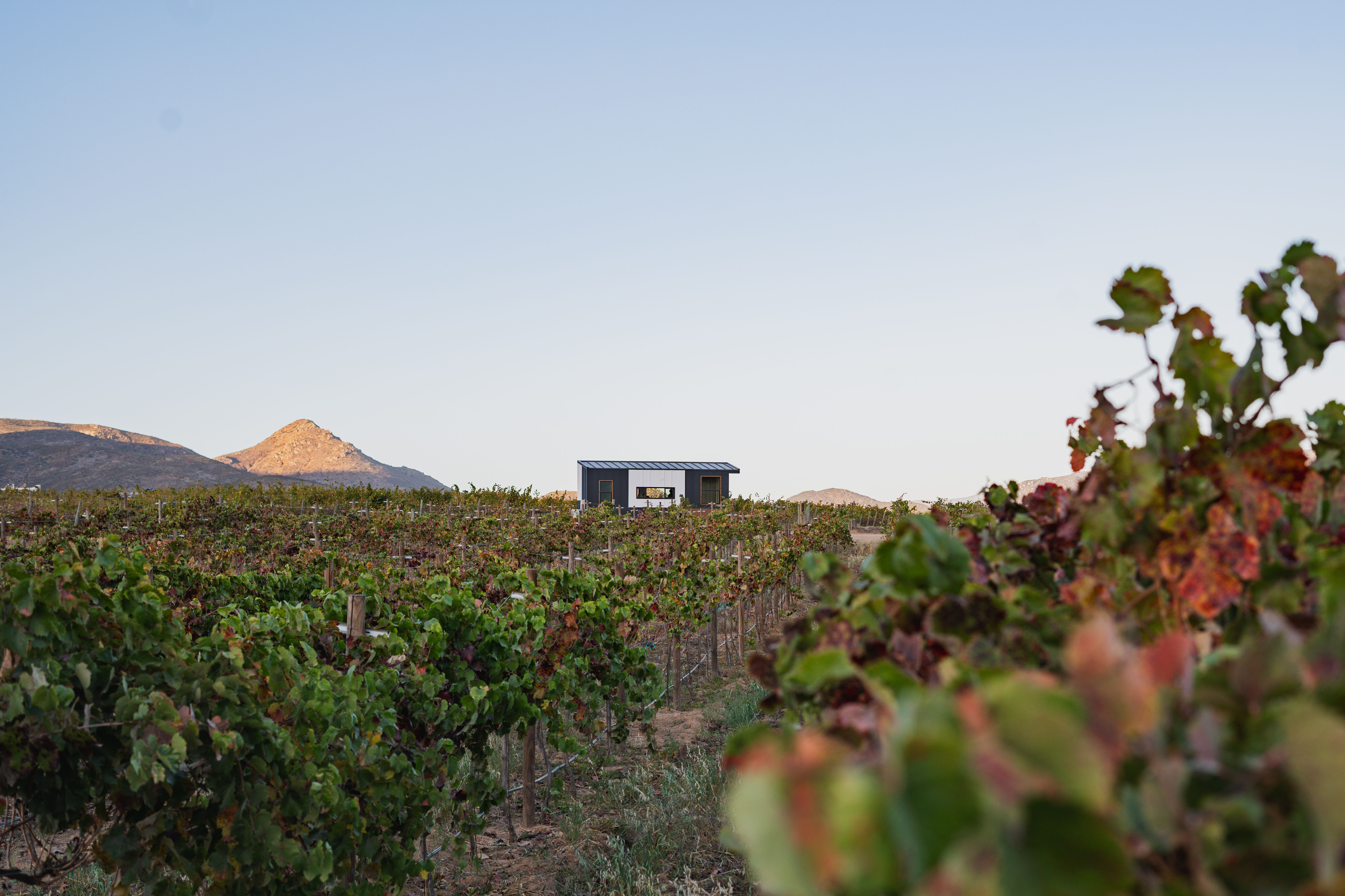 __wf_reserved_inherit