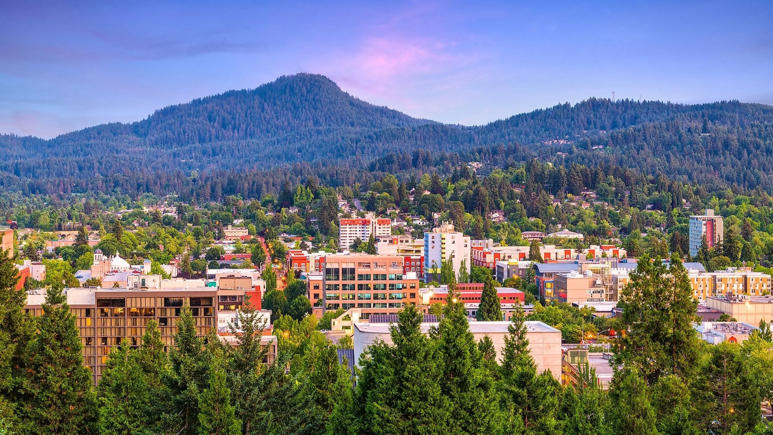 Photo of Lane County townscape against Oregon's mountains